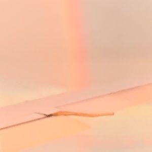 Meet your Posher, Mariana